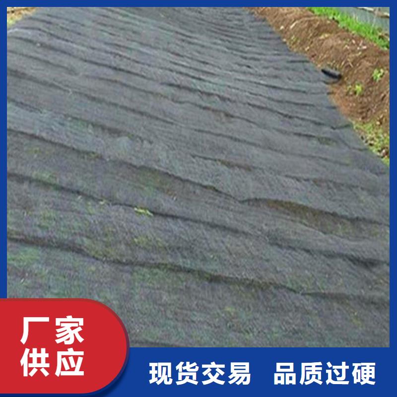【水土保护毯】【保湿布】欢迎来厂考察