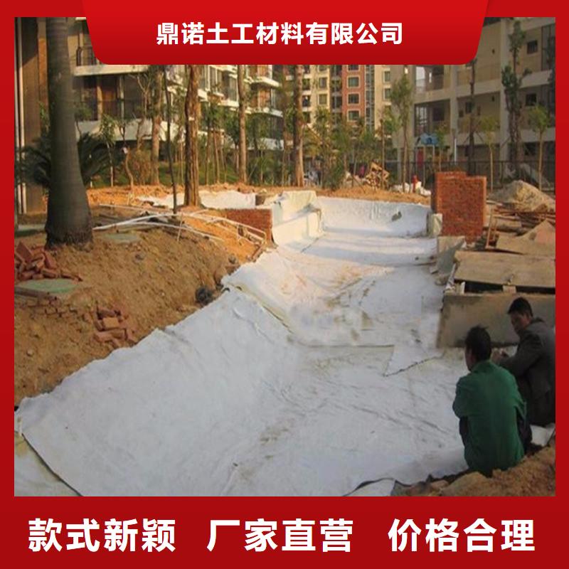 膨润土防水毯快速发货