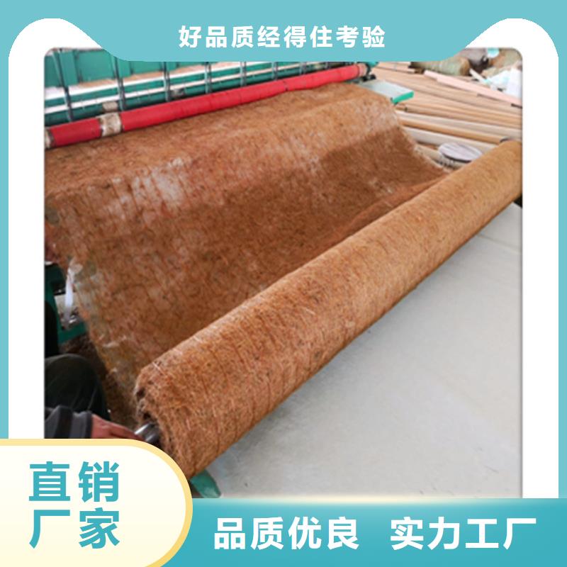 椰丝毯【水泥毯】实力大厂家