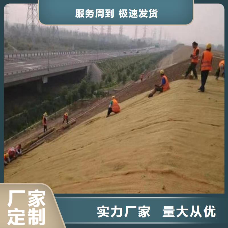 椰丝毯 防水膜实力公司