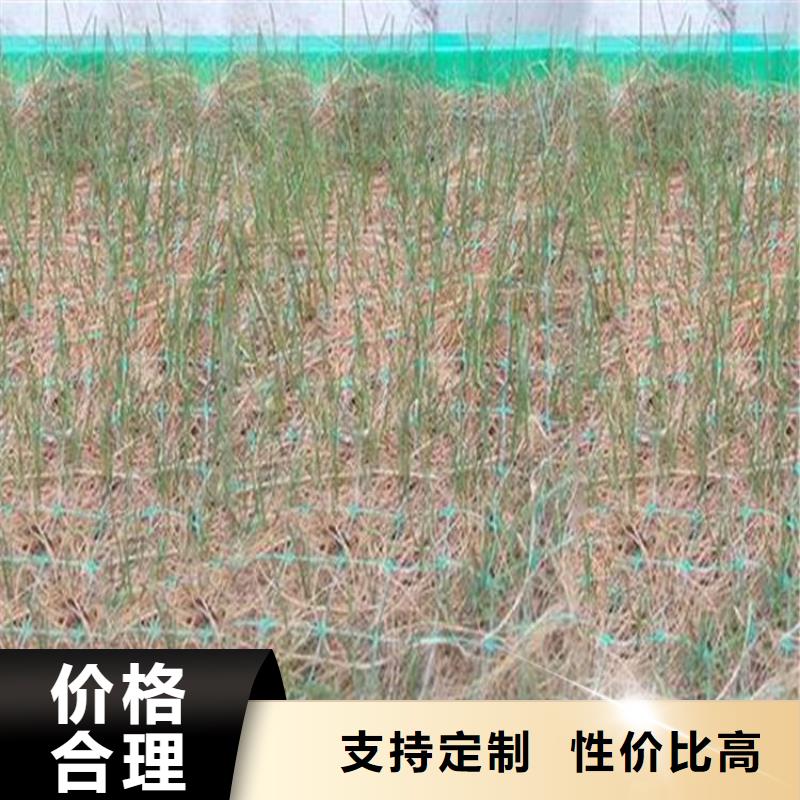 椰丝毯土工布品质优良