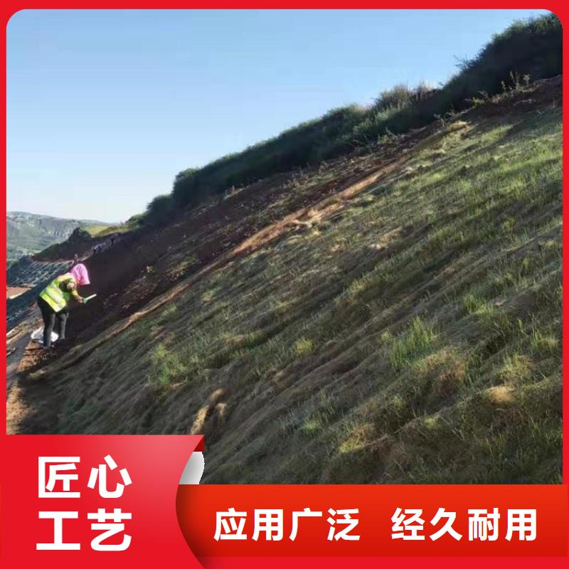 椰丝毯【水泥毯】实力大厂家