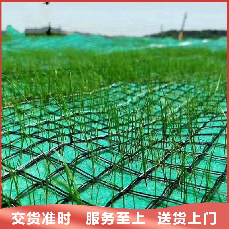 椰丝毯【水泥毯】实力大厂家