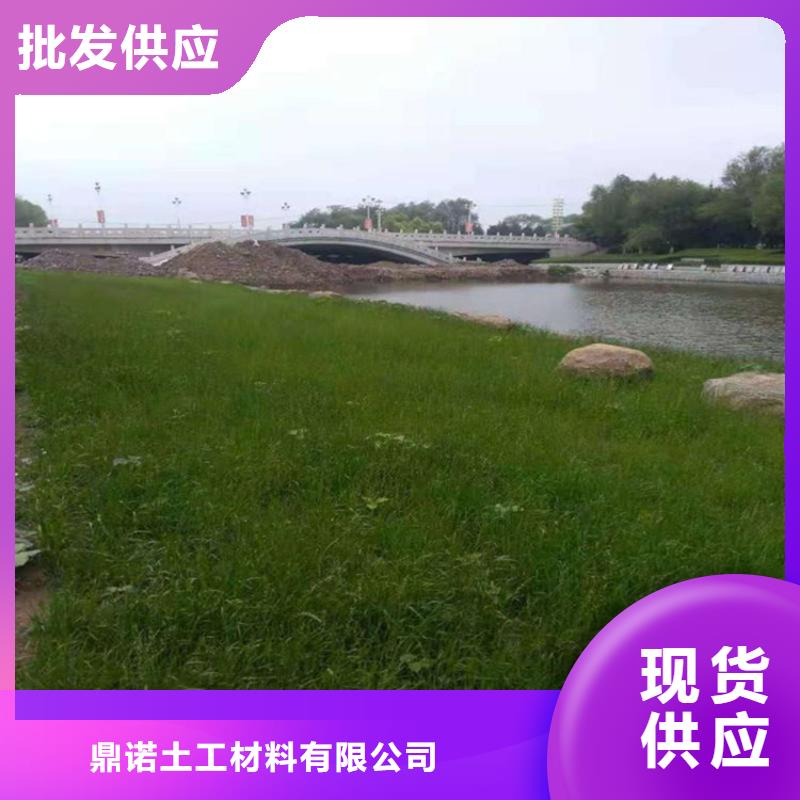 椰丝毯【水泥毯】实力大厂家