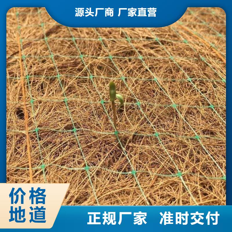 椰丝毯【水泥毯】实力大厂家