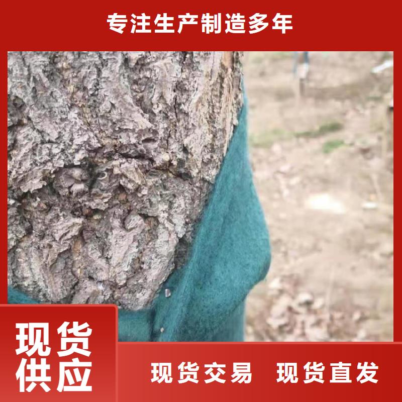 裹树布,土工布当地货源