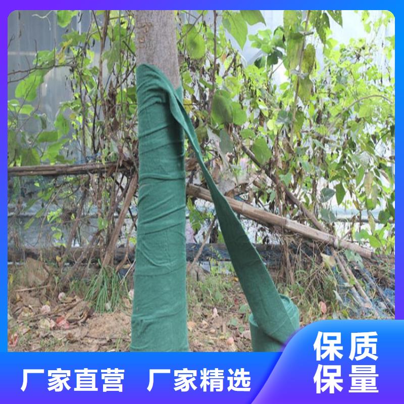 【裹树布】防渗膜用心经营