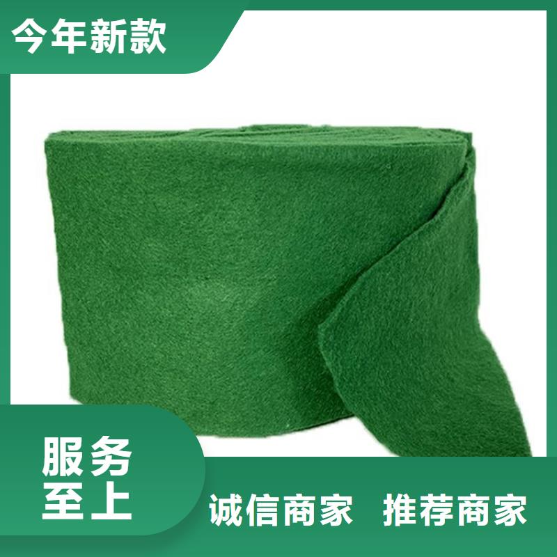 裹树布塑料盲沟品质做服务