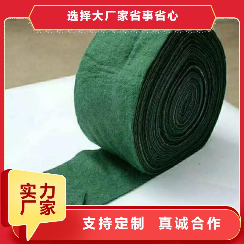 【裹树布】防渗膜用心经营
