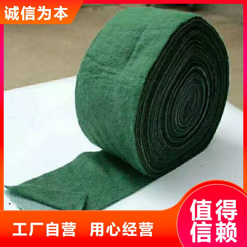 【裹树布】防渗膜用心经营