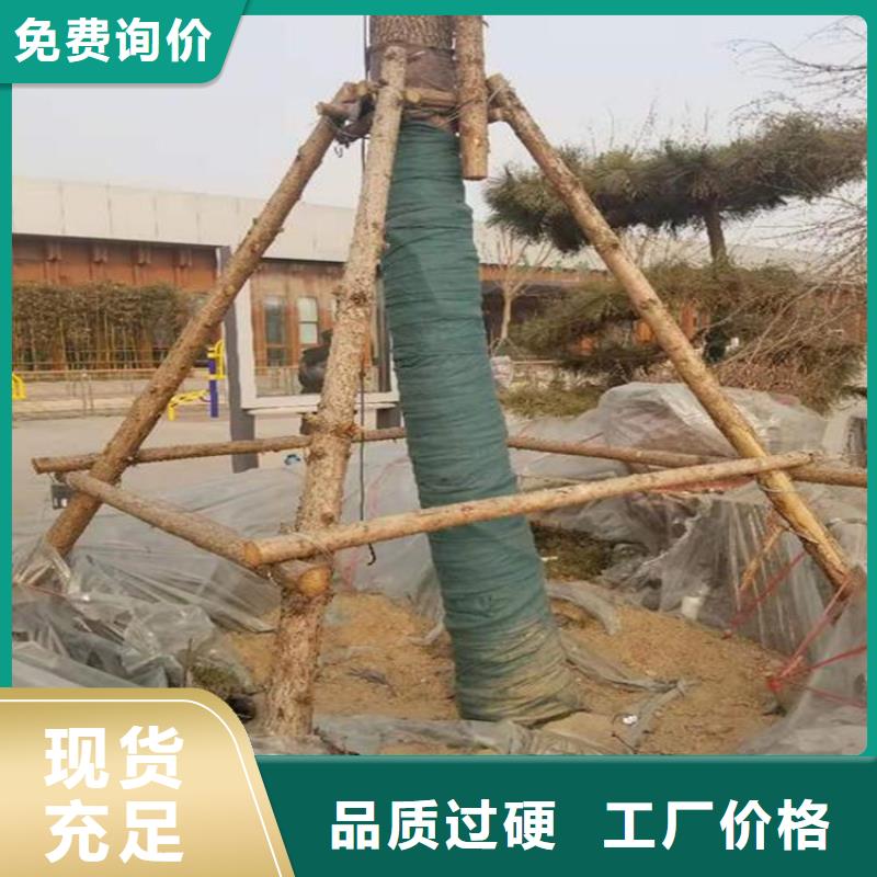 【裹树布】防渗膜用心经营