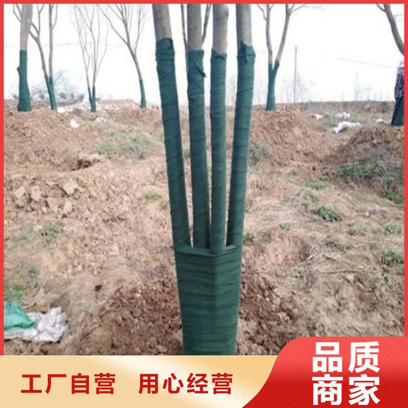 【裹树布】防渗膜用心经营