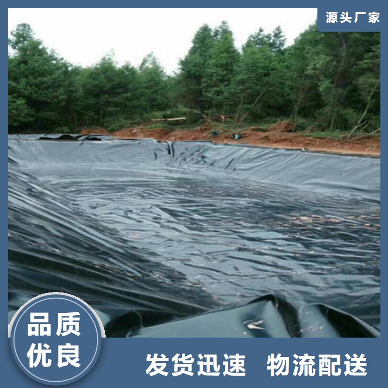 土工膜_排水管实时报价