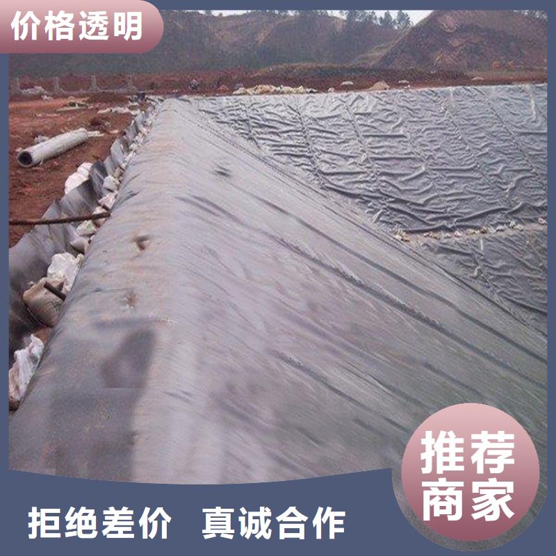 【土工膜】双向土工格栅您身边的厂家