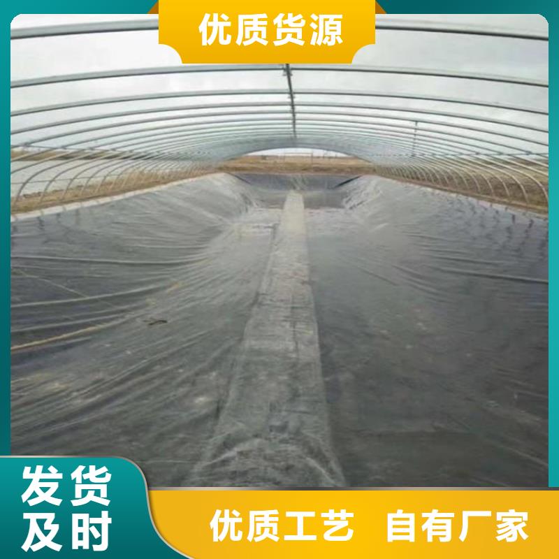 土工膜_排水管实时报价