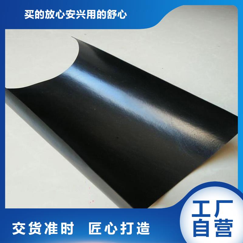 土工膜【矿用阻燃网】货源直供