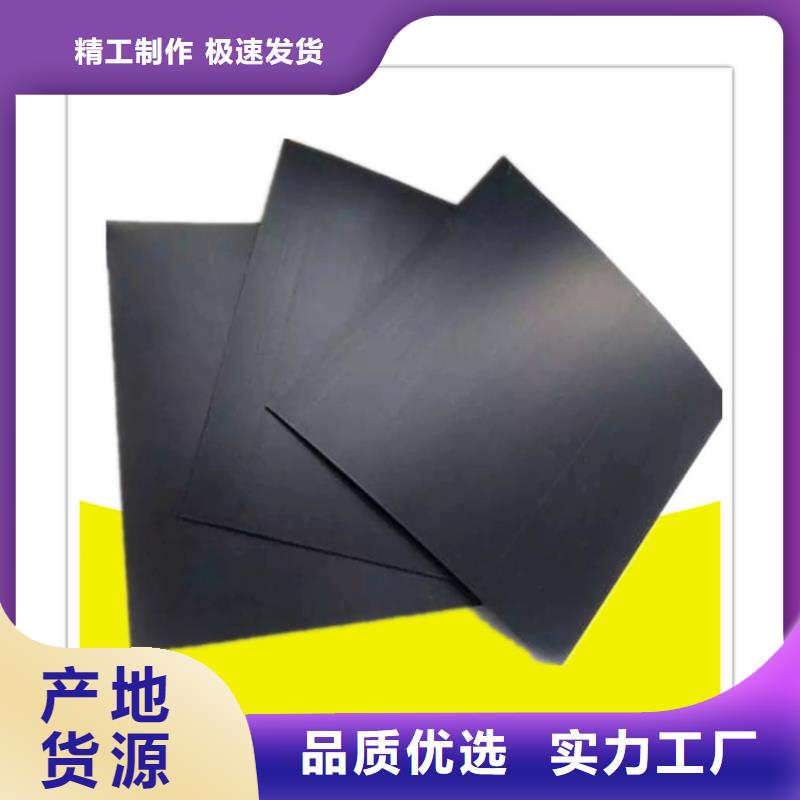 【土工膜】双向土工格栅您身边的厂家