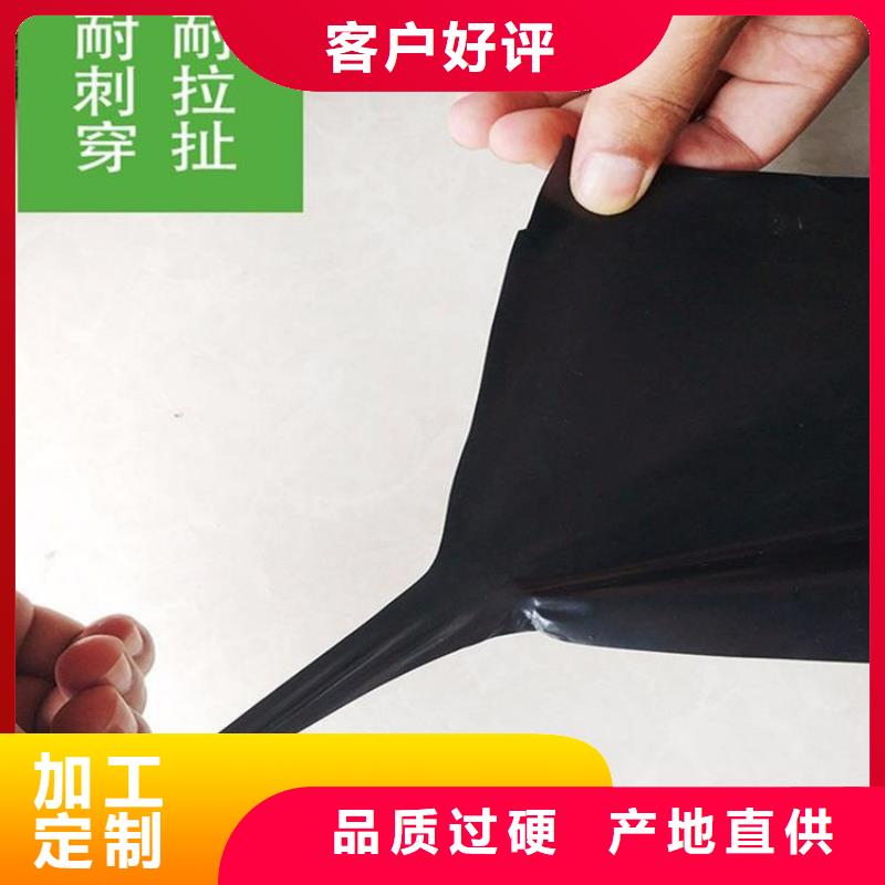 土工膜_排水管实时报价