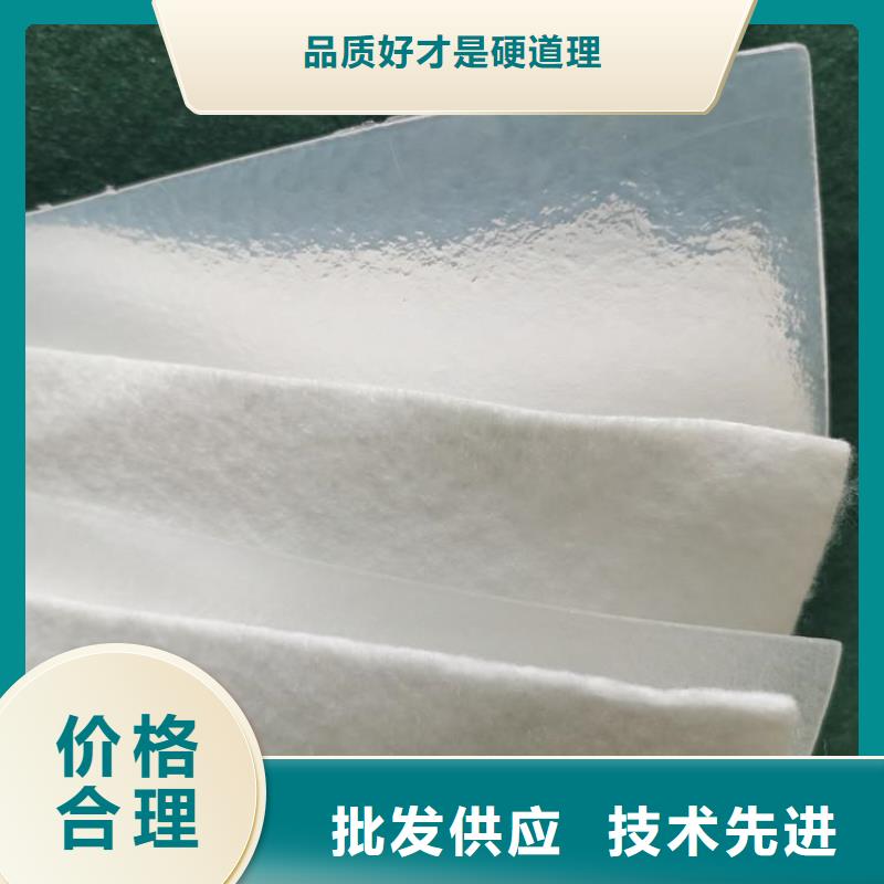 土工布-涤纶格栅货源稳定