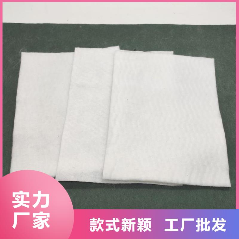 土工布土工格栅专业信赖厂家