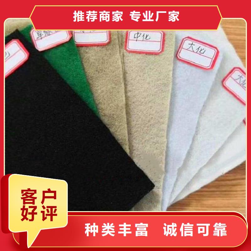 土工布【【单向塑料土工格栅】】不断创新