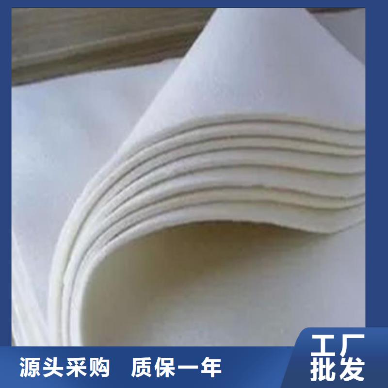 土工布双向土工格栅专心专注专业