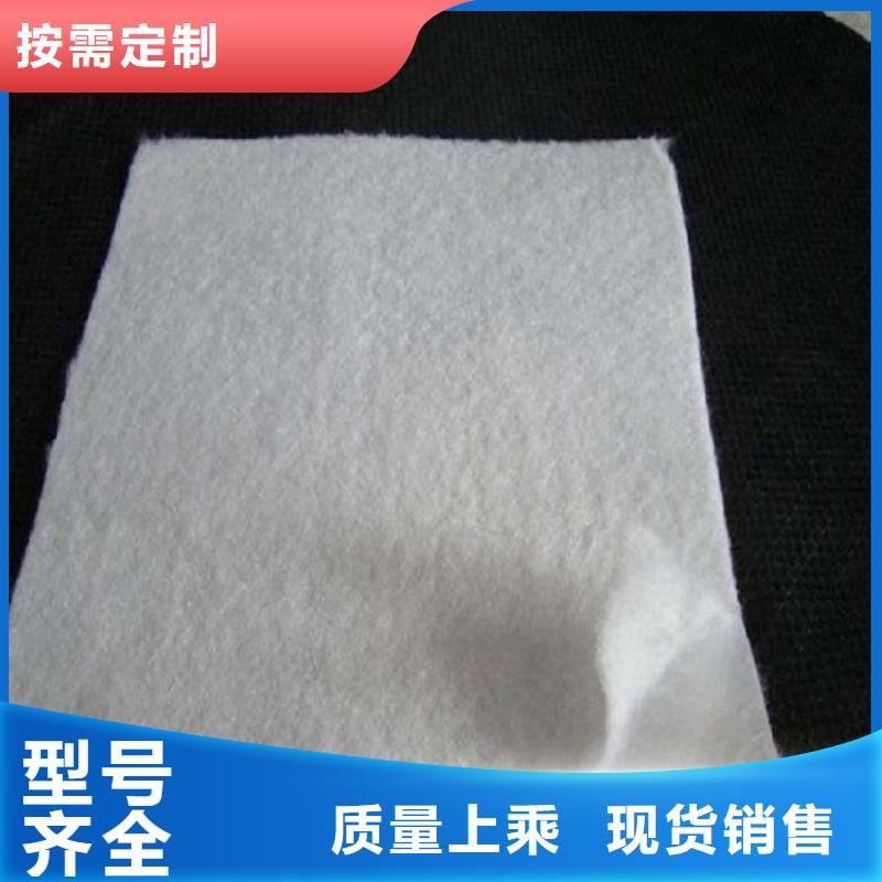 土工布双向土工格栅专心专注专业