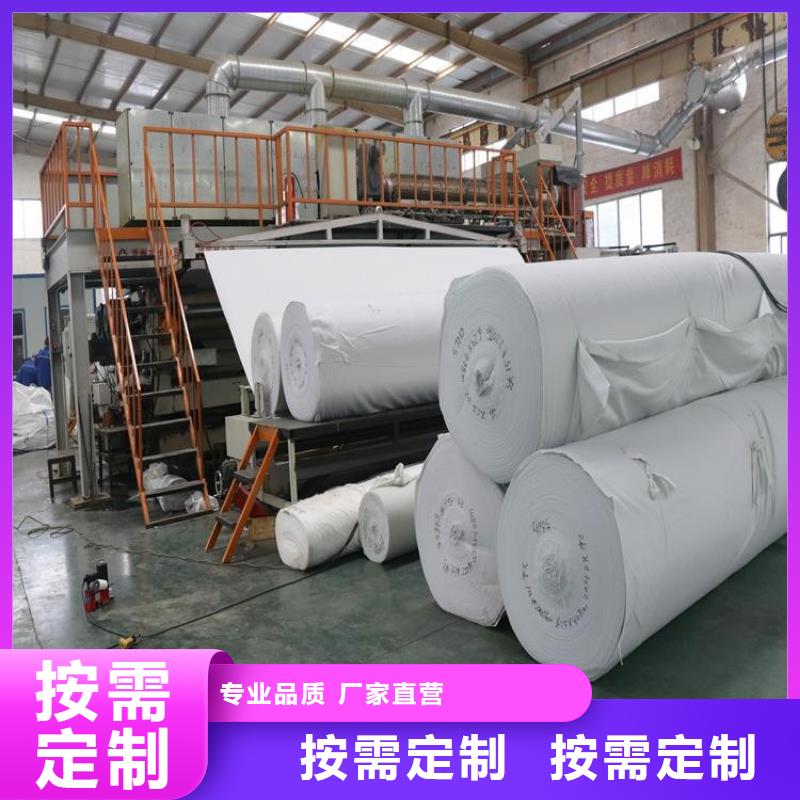 土工布双向土工格栅专心专注专业