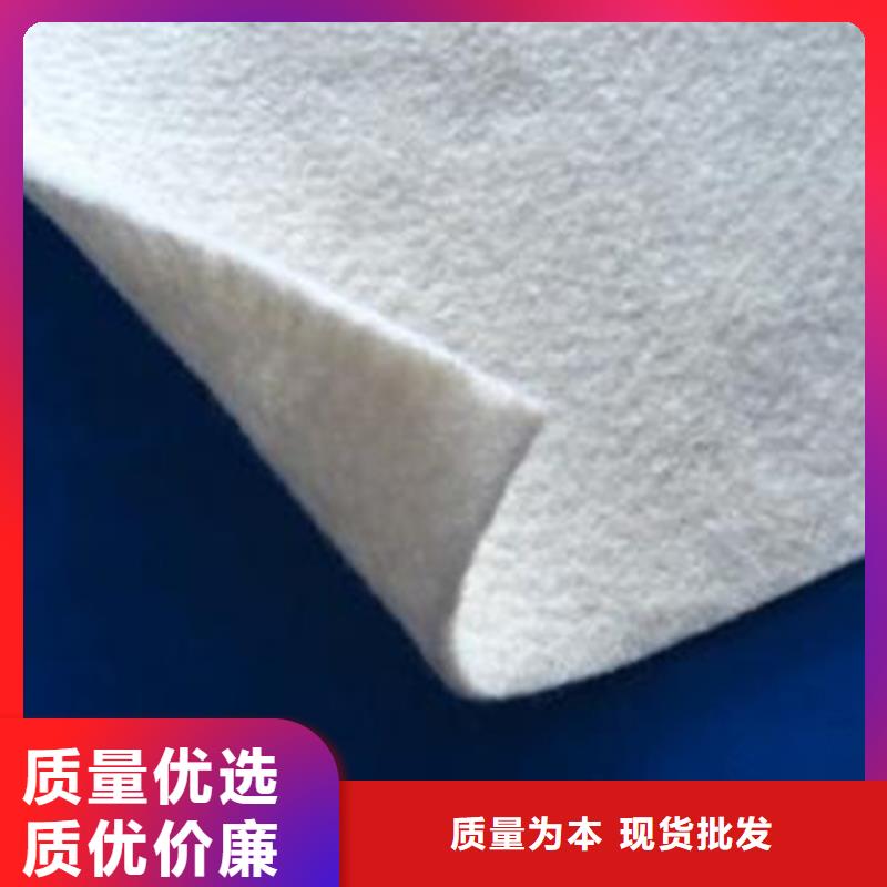 土工布双向土工格栅专心专注专业