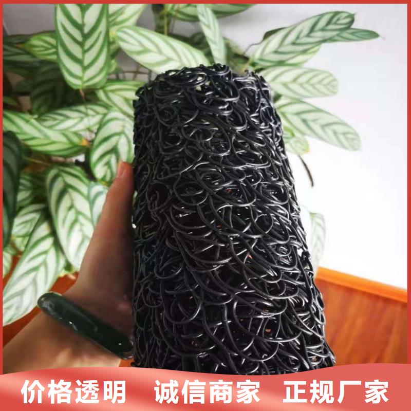 【塑料盲沟】复合土工膜支持定制