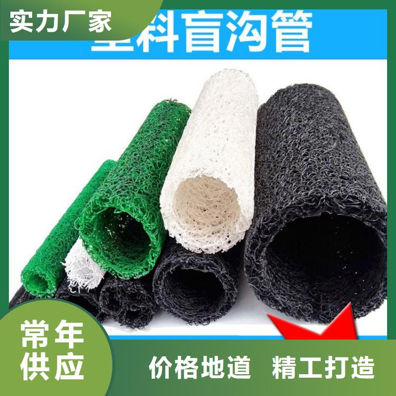 塑料盲沟-塑料玻纤格栅货源直供
