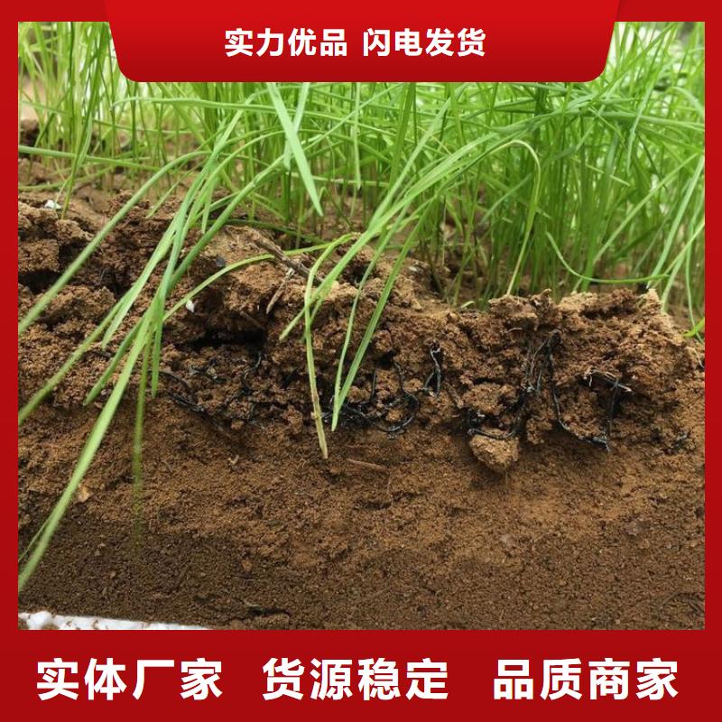 【水土保护毯HDPE复合排水板工厂直供】