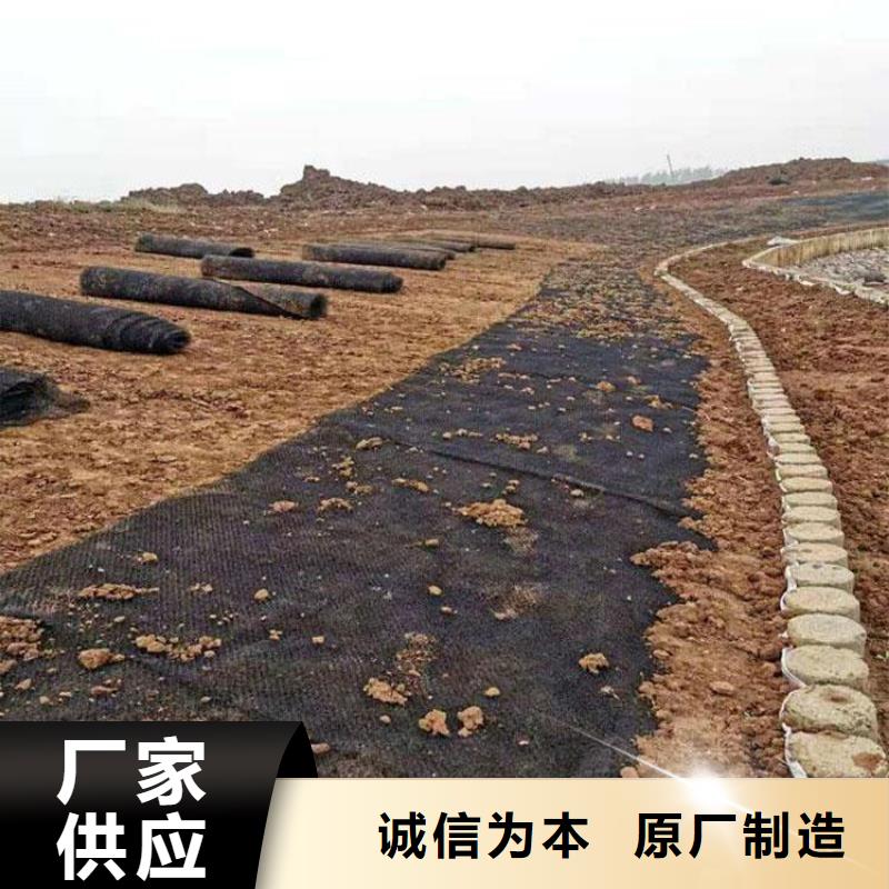 水土保护毯复合土工膜讲信誉保质量