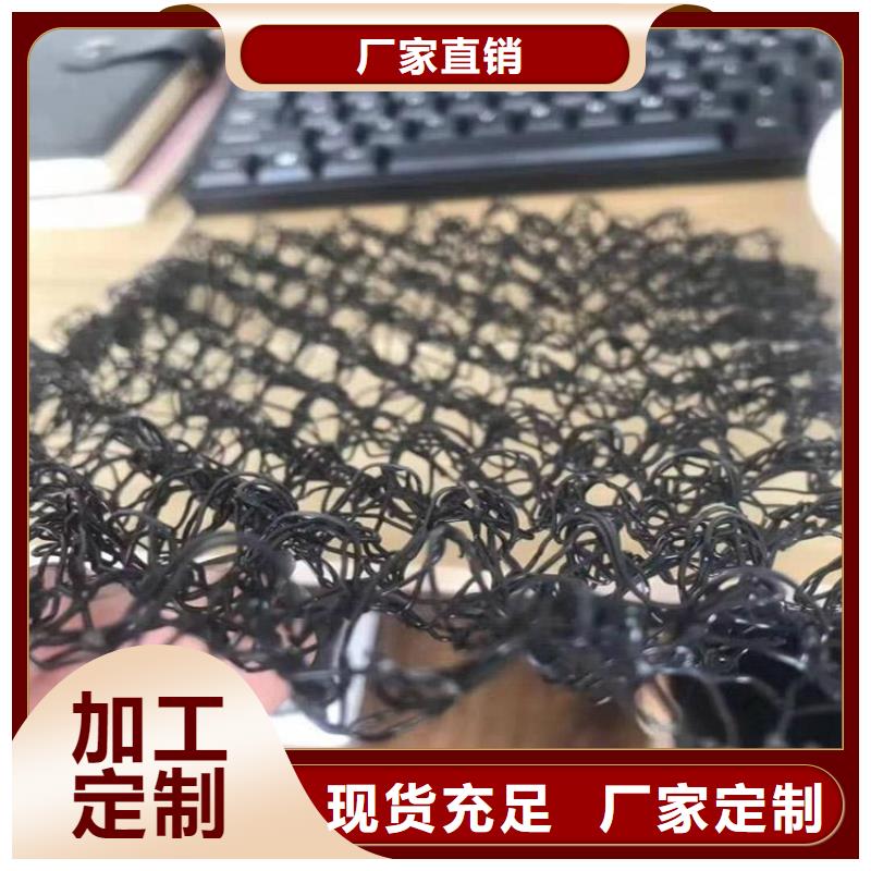 【水土保护毯HDPE复合排水板工厂直供】