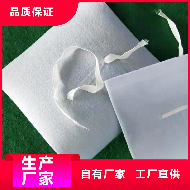 防水板玻璃纤维土工格栅专注生产制造多年