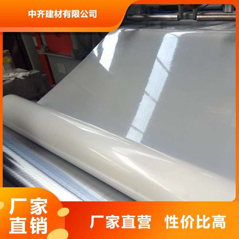 防水板玻璃纤维土工格栅专注生产制造多年
