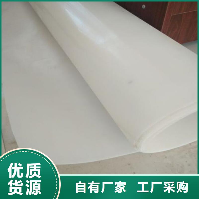 防水板玻璃纤维土工格栅专注生产制造多年