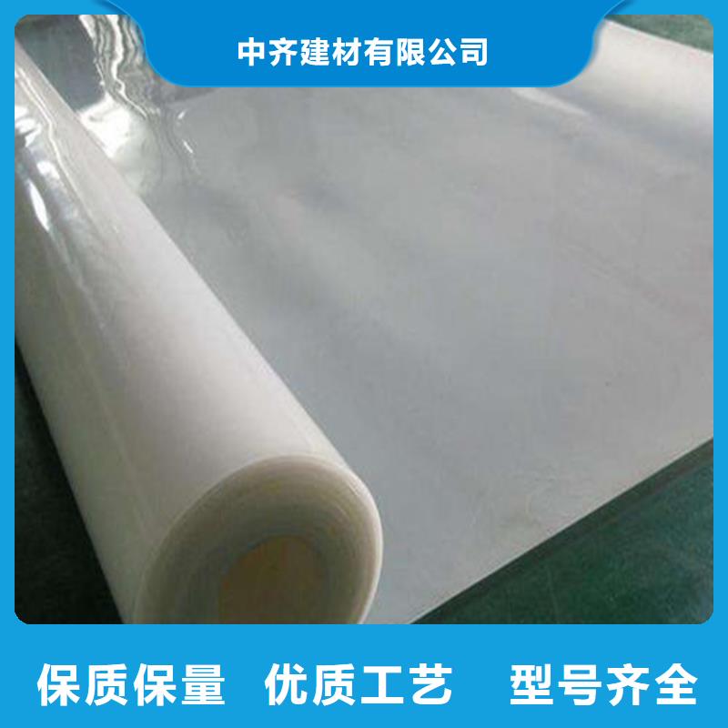 防水板玻璃纤维土工格栅专注生产制造多年