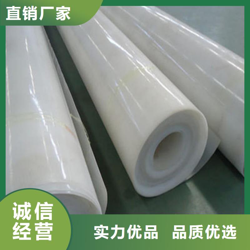 防水板玻璃纤维土工格栅专注生产制造多年