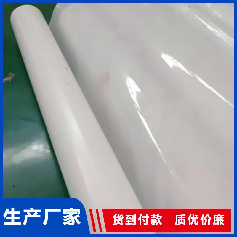 防水板_HDPE土工膜放心得选择