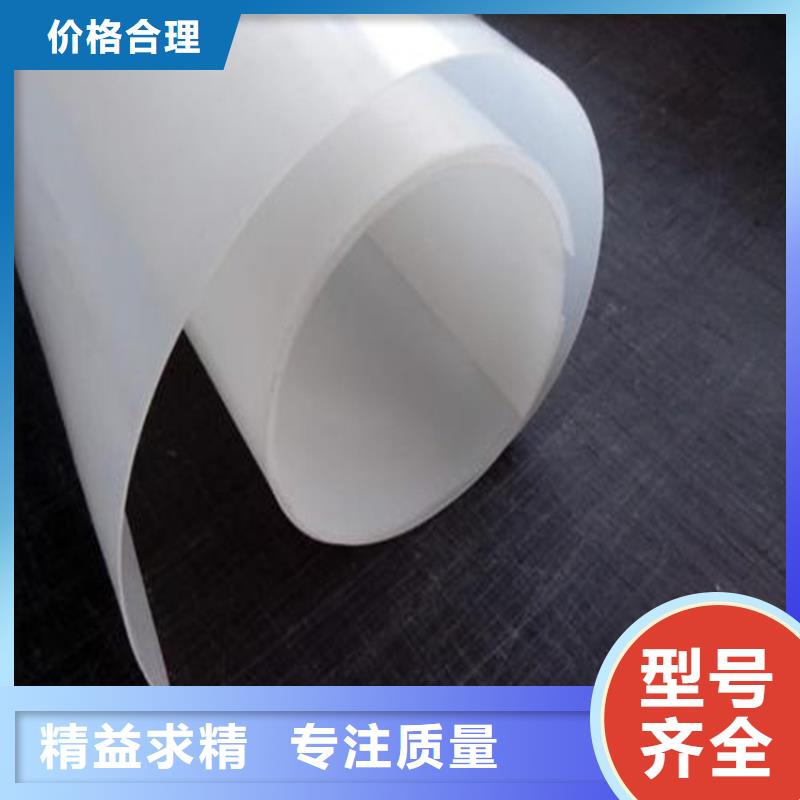 防水板玻璃纤维土工格栅专注生产制造多年