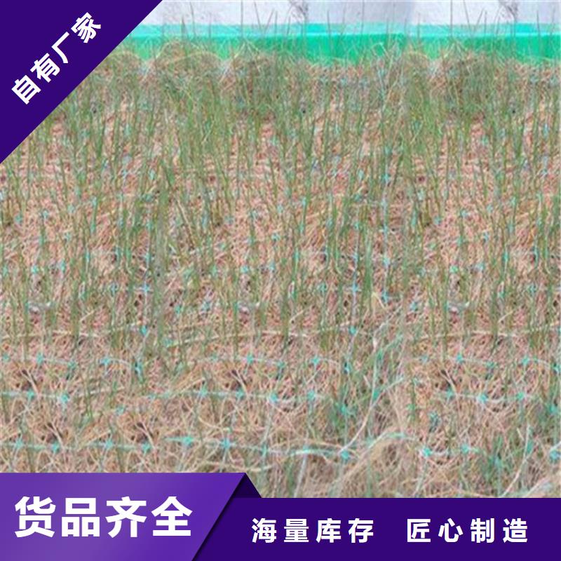 椰丝毯_【土工膜】厂家实力大