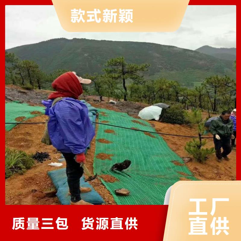 椰丝毯膨润土防水毯制造生产销售
