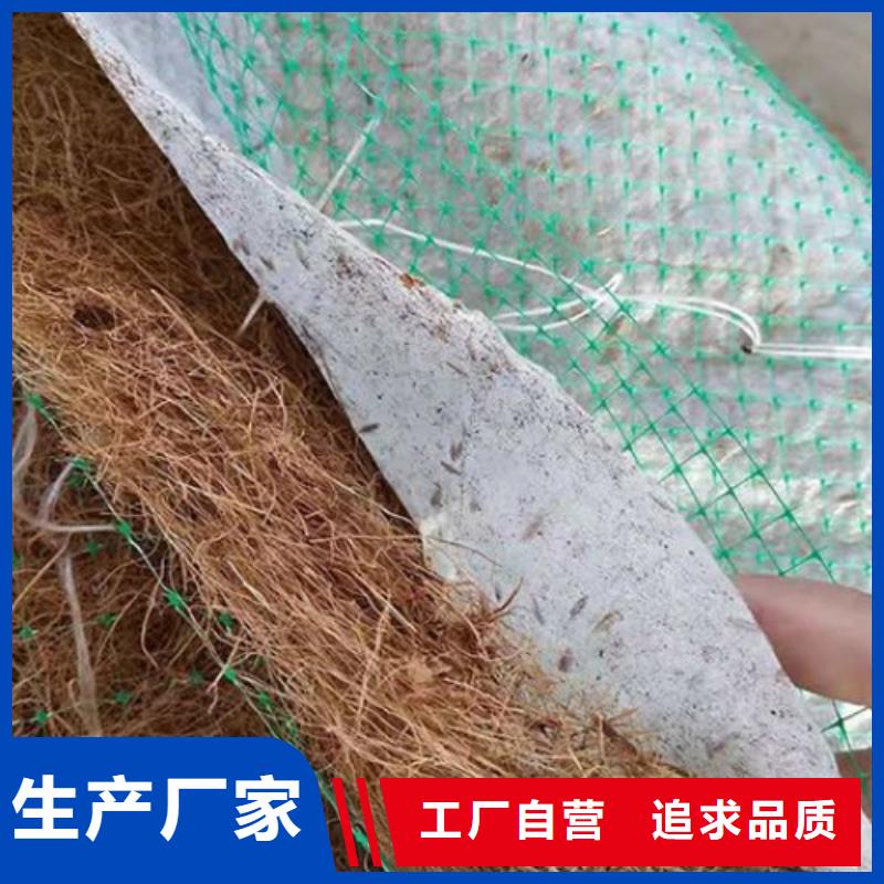 【椰丝毯】排水板厂家
