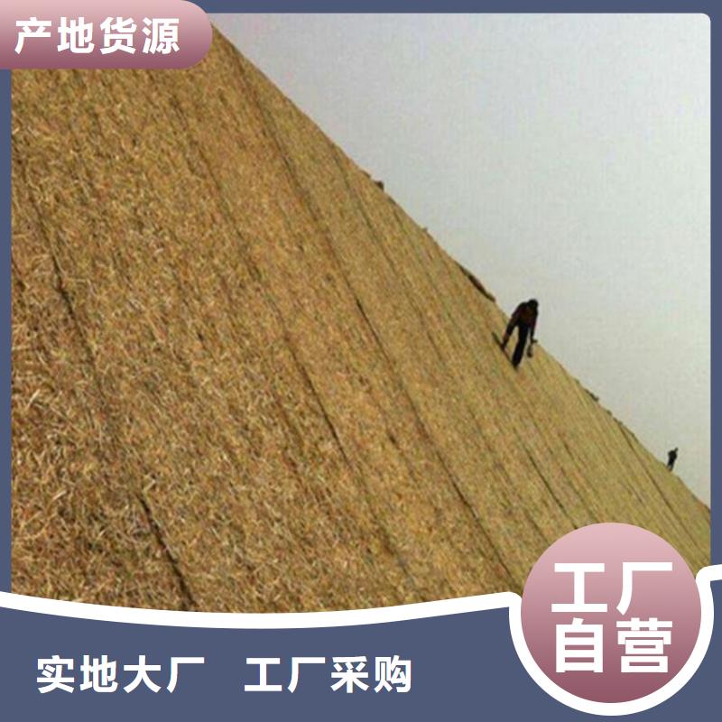 椰丝毯-【塑料玻纤格栅】细节决定品质