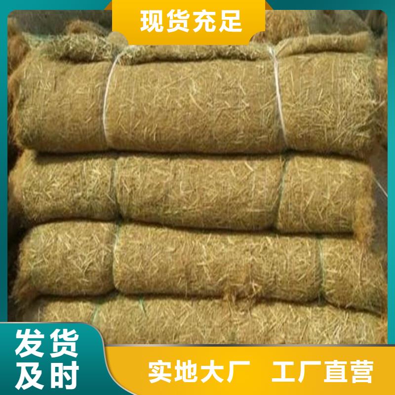 椰丝毯_【土工膜】厂家实力大