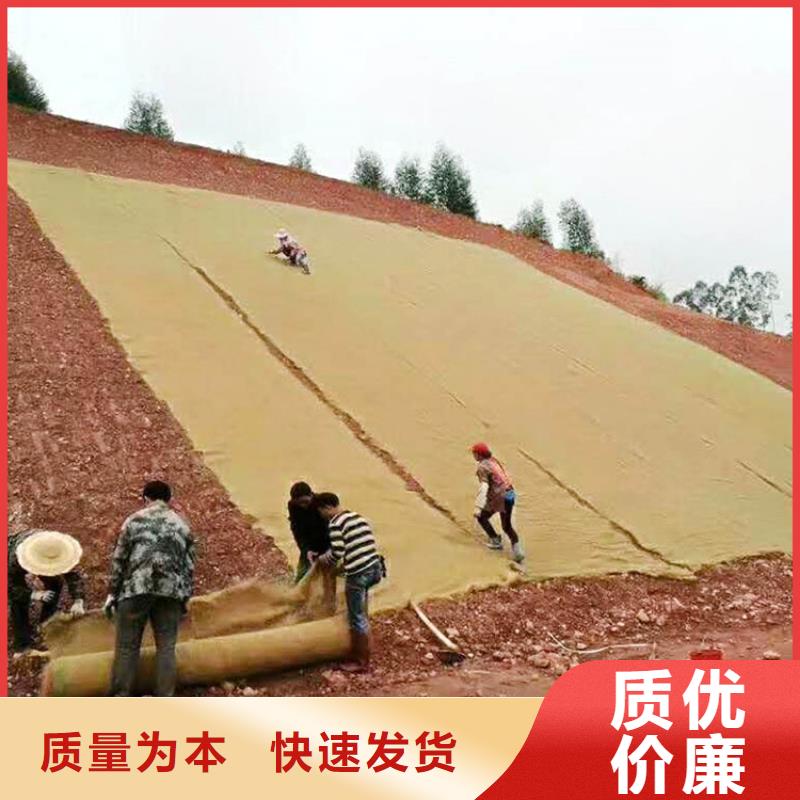 椰丝毯拉筋带产地直供