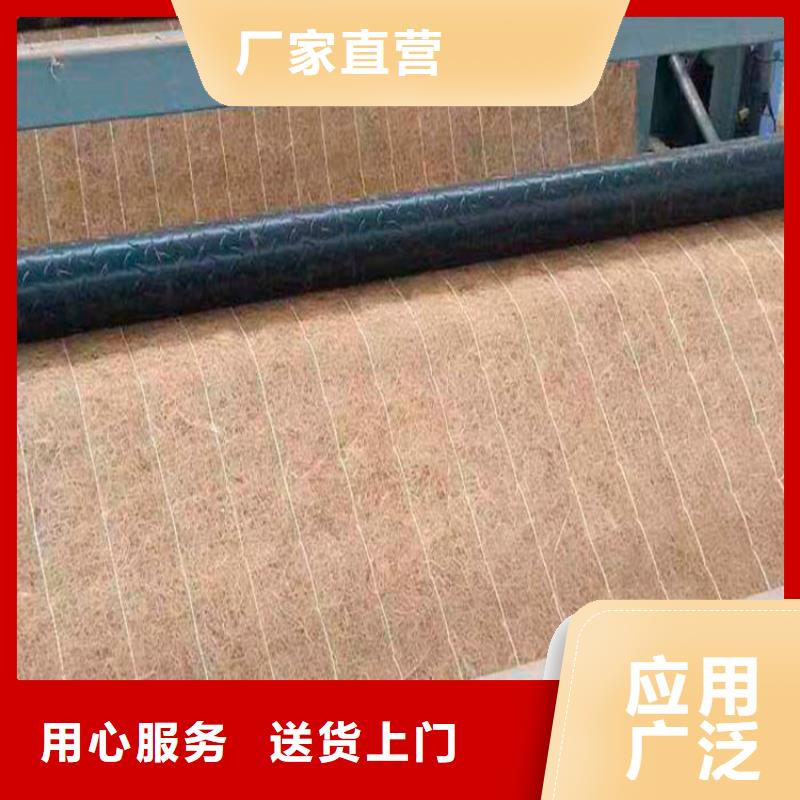 椰丝毯_【土工膜】厂家实力大