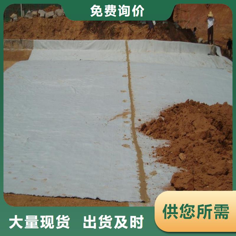 膨润土防水毯土工膜精选厂家好货