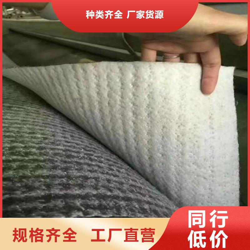 膨润土防水毯,土工膜好品质用的放心